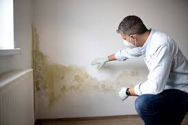 Reliable Walnutport, PA Mold Inspection Solutions